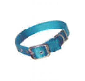 image of Hamilton Double Thick Nylon Deluxe Dog Collar Teal 10 Inch