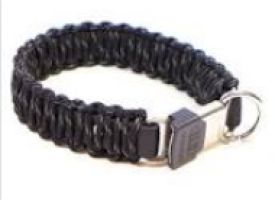 Springer Collar In Nylon With Click Lock Black