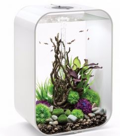 Oase Biorb Life 60 Litre Mcr White