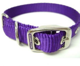 Hamilton Dog Collar Purple 12
