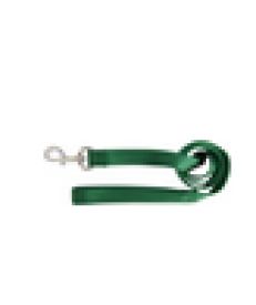 Hamilton Single Thick Nylon Dog Lead, 1-inch By 4-feet, Green