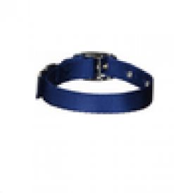 Hamilton Single Thick Nylon Deluxe Dog Collar, Navy 12 Inch