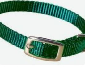 image of Hamilton Dog Collar Dark Green 10