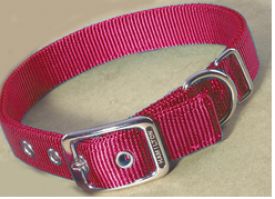 image of Hamilton Double Thick Nylon Dog Collar