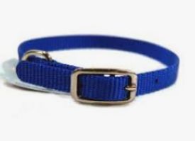 Hamilton Dog Collar Blue