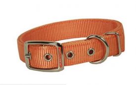 Hamilton Double Thick Nylon Deluxe Dog Collar, 1-inch By 28-inch, Mango Orange