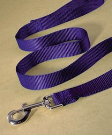 Hamilton Single Thick Nylon Lead Snap Purple