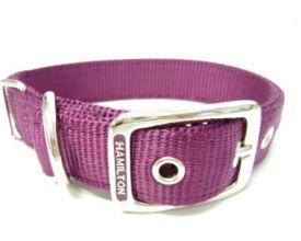 Hamilton Double Thick Nylon Deluxe Dog Collar Wine Inch24