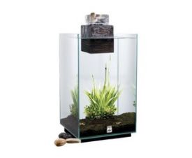 Fluval Chi Aquarium Kit 19 L