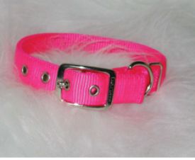 image of Hamilton Double Thick Nylon Dog Collar Hot Pink