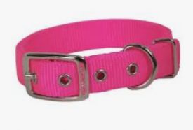 Hamiton Double Thick Dog Collar Hot Pink