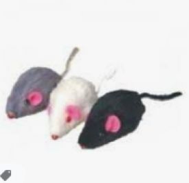 Camon Mix Colour Mice