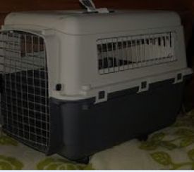 Pet Carier 81x56x59