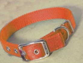 Hamilton Double Thick Nylon Dog Collar Mango 26