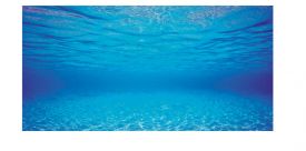 Juwel Aquarium Poster 2 Background 100x50cm Large