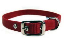 image of Hamilton Red Single Thick Nylon Dog Collar 5/8 X 18 In