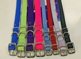 Hamilton Hot Purple Single Thick Nylon Dog Collar 5/8 X 18 In