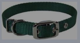 image of Hamilton Single Thick Nylon Deluxe Dog Collar Green 12