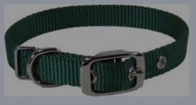 Hamilton Single Thick Nylon Deluxe Dog Collar Green 12