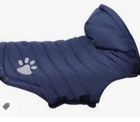 Karlie Coat For Dog Paw Blue 50cm
