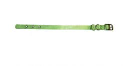 image of Hamilton Single Thick Nylon Dog Collar Lime 16 Inch