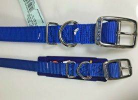 Hamilton Double Thick Nylon Dog Collar Blue 1 X 22 Inch
