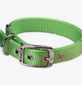 Hamilton Single Thick Nylon Dog Collar Lime