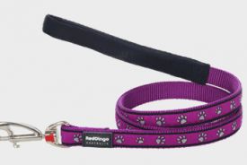 Red Dingo - Pawprints Purple Lead (20s)