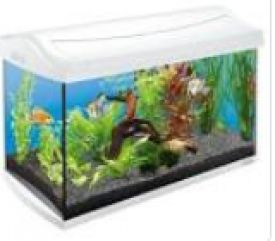 Aqua Art 20l Led White