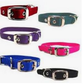 Hamilton Dog Collar Black