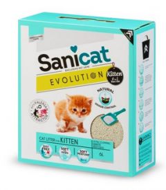 Sanicat Evolution Kitten 6l