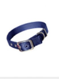 Hamiltone Double Thick Nylon Dog Collar Blue