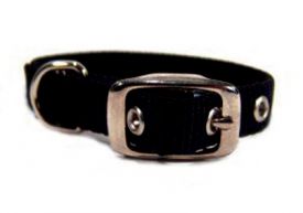 image of Hamilton Single Thick Nylon Deluxe Dog Collar Black 12 Inch