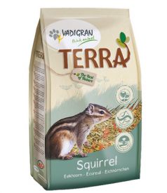 image of Vadigran Terra Squirrel 