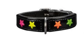 Hunter Collar Leather For Dog Miami Mini Black 