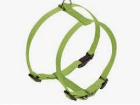 image of Nobby Harness Classic Pastel Green Chest: 14/20 Cm; W: 10 Mm