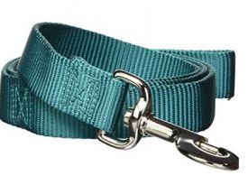 Hamilton Snap Lead Teal