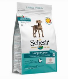 image of Schesir Dog Puppy Large Breed 