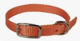 Hamilton Single Thick Dog Collar Mango