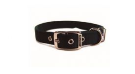 image of Hamilton Double Thick Nylon Deluxe Dog Collar In Hunter Green