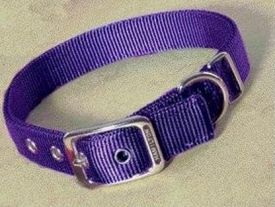 Hamilton Double Thick Nylon Dog Collar Purple 40cm