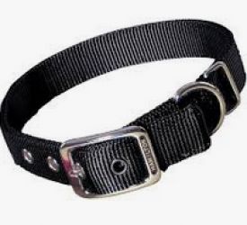 Hamilton Double Thick Nylon Dog Collar Black