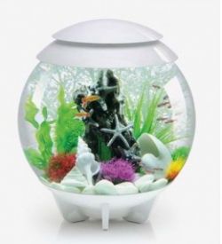 Biorb Halo 30 Litre Mcr