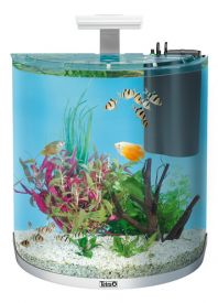 Tetra Aquarium Aquaart Explorer White Led 60l