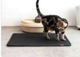 Pawise Cat Litter Mat
