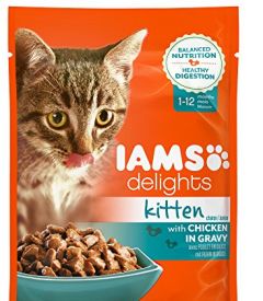 Iams Cat Kiten 85g