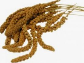 Vadigran Millet Sprays