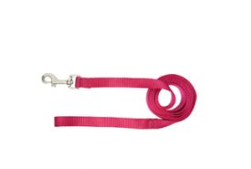 Hamilton Nylon Dog Lead Rose