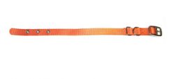 image of Hamilton Single Thick Nylon Dog Collar