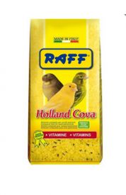 Raff Holland Cova